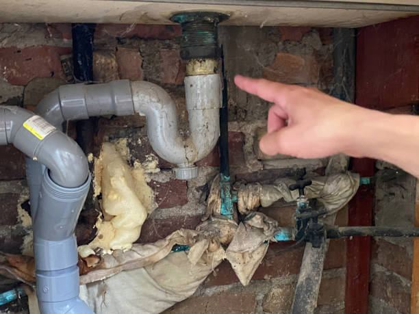 Water damage restoration experts in AL
