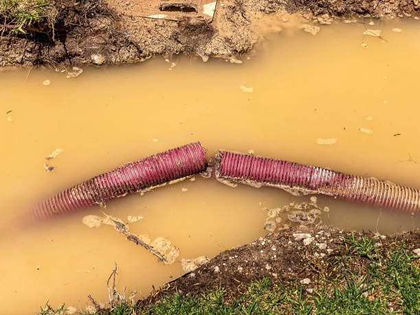 Best Water damage cleanup near me  in Carlisle Rockledge, AL