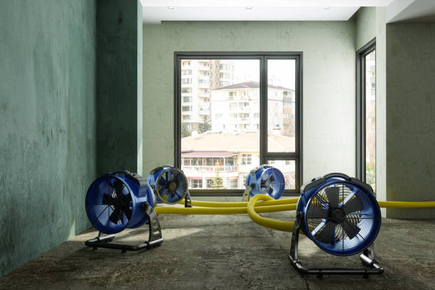 Best Flood restoration services  in Carlisle Rockledge, AL