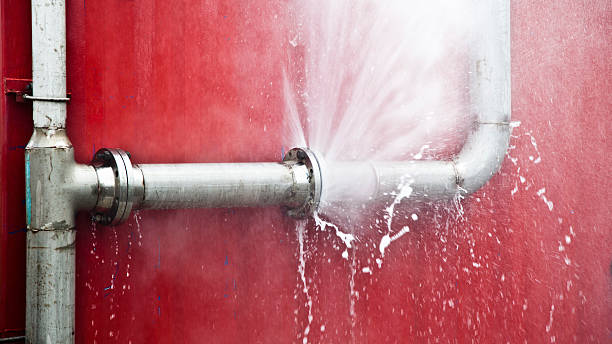 Best Water damage restoration experts  in Carlisle Rockledge, AL