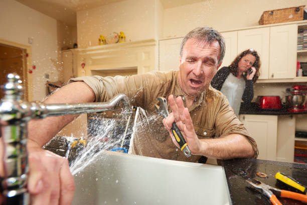 Best 24-hour water damage restoration  in Carlisle Rockledge, AL